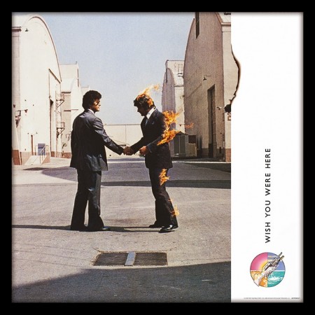 Pink Floyd (Wish You Were Here)  12