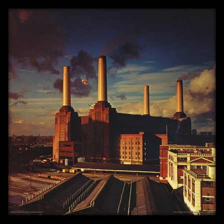 Pink Floyd (Animals)  12