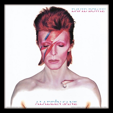 David Bowie (Aladdin Sane)  12