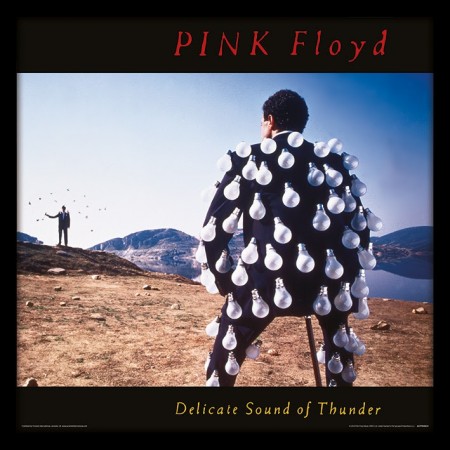 Pink Floyd (Delicate Sound of Thunder)  12